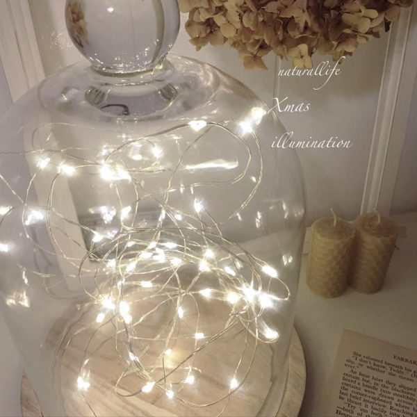 中にものを入れるだけ！簡単でオシャレなガラスドームのインテリア