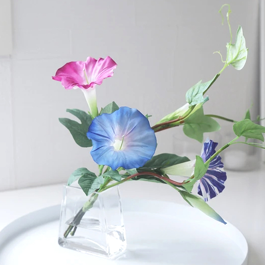 色ごとに変わる、朝顔（アサガオ）の花言葉とおすすめ作品13選