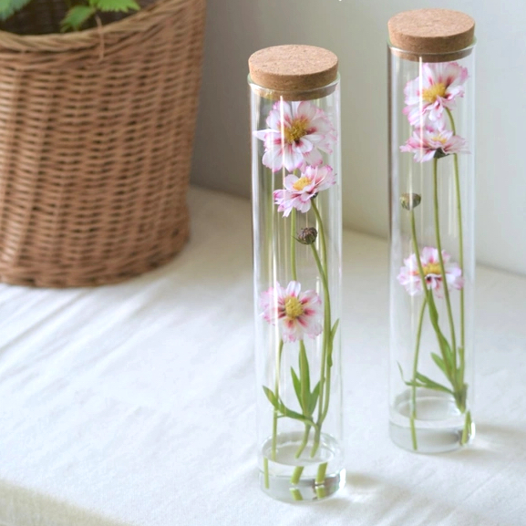 色ごとに違う、コスモスの花言葉を色別にご紹介。おすすめ作品17選