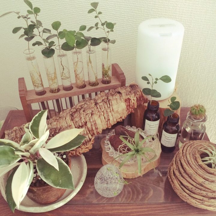 実験道具がオシャレに変身！試験管を使った素敵なインテリアをご紹介☆